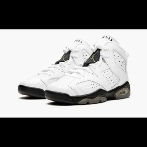 Air Jordan Retro 6 “alligator”